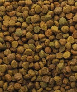 VERSELE-LAGA Versele Laga Classic Variety - Kattenvoer -10 Kg 5 VERSELE-LAGA Versele Laga Classic Variety - Kattenvoer -10 Kg -Katten En Honden Verkoop Winkel 1002x1200 1