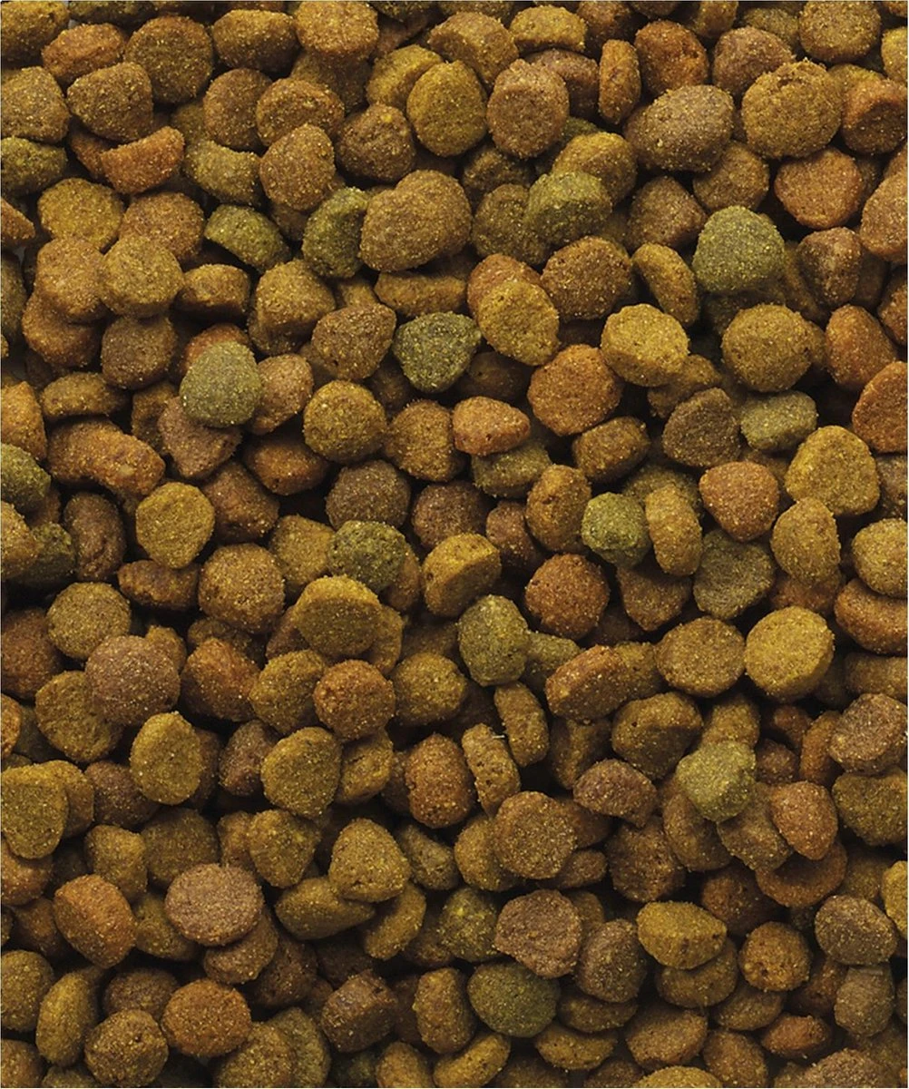 VERSELE-LAGA Versele Laga Classic Variety - Kattenvoer -10 Kg 3 VERSELE-LAGA Versele Laga Classic Variety - Kattenvoer -10 Kg - Afbeelding 3