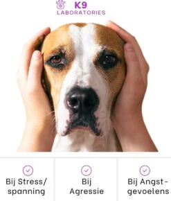 K9 Laboratories Kalmte & Balans - Hond - 60 Stuks - Bij Stress, Angst En Agressie - Ashwagandha - L-tryptofaan - Passiebloem - Valeriaanwortel - Lavendel -Katten En Honden Verkoop Winkel 1023x1200