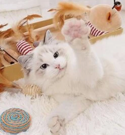 GIZMO Luxe Kattenspeeltjes Set - 7 Speeltjes - Interactieve Kattenhengel, Kattenspeelgoed & Speelmuisjes - Kitten Speeltjes -Katten En Honden Verkoop Winkel 1108x1200