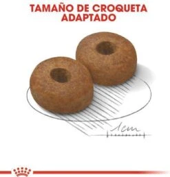 Royal Canin Maxi Ageing 8+ 15 KG -Katten En Honden Verkoop Winkel 1149x1200 3