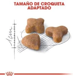 Royal Canin Sensible 33 - Kattenvoer - 10+2 Kg Bonusbag -Katten En Honden Verkoop Winkel 1149x1200 4