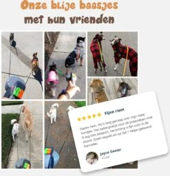 Dubbele Honden Riem – Leiband Hond – Hondenlijn – Looplijn Hond – 2 Honden – 3 Meter – Tot 12kg Per Hond – Reflecterende Lijnen – Met Zaklamp – 360° Draaien – Verstelbaar - Zwart -Katten En Honden Verkoop Winkel 1160x1200 3