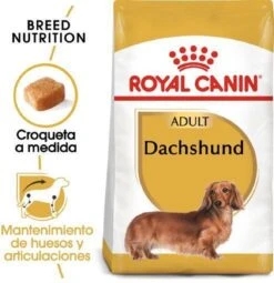 Royal Canin Dachshund/Teckel Adult 7.5 KG -Katten En Honden Verkoop Winkel 1162x1200 1