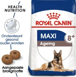 Royal Canin Maxi Ageing 8+ 15 KG -Katten En Honden Verkoop Winkel 1172x1200