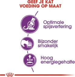 Royal Canin Sensible 33 - Kattenvoer - 10+2 Kg Bonusbag -Katten En Honden Verkoop Winkel 1178x1200 1