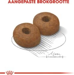 Royal Canin Maxi Ageing 8+ 15 KG -Katten En Honden Verkoop Winkel 1179x1200 3