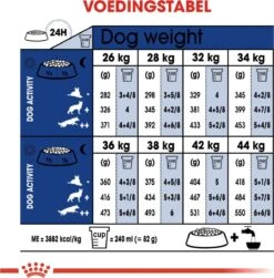 Royal Canin Maxi Ageing 8+ 15 KG -Katten En Honden Verkoop Winkel 1182x1200 1