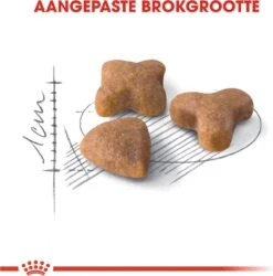 Royal Canin Sensible 33 - Kattenvoer - 10+2 Kg Bonusbag -Katten En Honden Verkoop Winkel 1185x1200 4