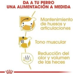 Royal Canin Dachshund/Teckel Adult 7.5 KG -Katten En Honden Verkoop Winkel 1190x1200