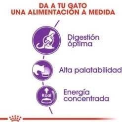 Royal Canin Sensible 33 - Kattenvoer - 10+2 Kg Bonusbag -Katten En Honden Verkoop Winkel 1197x1200 3