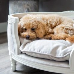 Lord Lou - George Roze Velvet S - Luxe Hondenmand - Luxe Kattenmand - 49x40x31 -Katten En Honden Verkoop Winkel 1198x1200 2