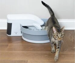 Zelfreinigende Kattenbak - PetSafe Simply Clean - Fluisterstil Met Koolstoffilter Tegen Geurtjes -Katten En Honden Verkoop Winkel 1200x1005