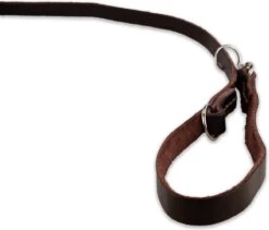 Multifunctionele Hondenriem - 220cm - Bruin - Leren Hondenriem - 100% Volnerfleer - Hondenriem Leer - Leiband Hond -Katten En Honden Verkoop Winkel 1200x1026