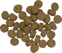 Kanjer Croc Krokant Adult - Hondenvoer - 15 Kg -Katten En Honden Verkoop Winkel 1200x1026 3