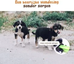 Dubbele Honden Riem – Leiband Hond – Hondenlijn – Looplijn Hond – 2 Honden – 3 Meter – Tot 12kg Per Hond – Reflecterende Lijnen – Met Zaklamp – 360° Draaien – Verstelbaar - Zwart -Katten En Honden Verkoop Winkel 1200x1035 1