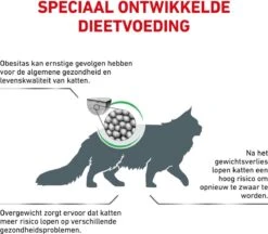 Royal Canin Satiety Weight Management - Kattenvoer - 6 Kg -Katten En Honden Verkoop Winkel 1200x1050 4
