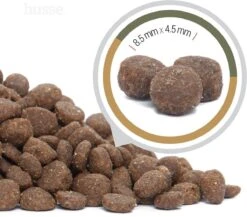 Husse Opus Lynx Graanvrij Kattenvoer - 7 Kg -Katten En Honden Verkoop Winkel 1200x1056 2