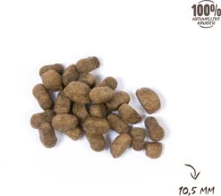 VITALstyle HUID+VACHT - Hondenbrokken - 12 Kg -Katten En Honden Verkoop Winkel 1200x1066