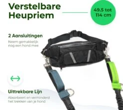 Canicross Looplijn Hond Met Heupriem Voor Hardlopen - Elastische Handsfree Hondenriem - Honden Trainingslijn - 150/200cm - Groen -Katten En Honden Verkoop Winkel 1200x1077
