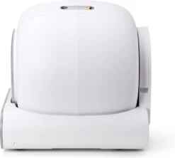 Katten En Honden Verkoop Winkel -Katten En Honden Verkoop Winkel 1200x1080 2