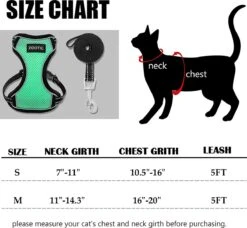Kattentuigje Met Leiband Riem Kattenharnas Groen Maat M Kat & Kitten - Dieren Kattenriem - Cat Leash - Halsomvang 20 Tot 26cm - Borstomvang 30 Tot 34cm - Zootic® -Katten En Honden Verkoop Winkel 1200x1110
