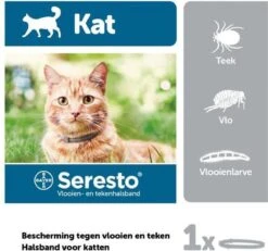 Katten En Honden Verkoop Winkel -Katten En Honden Verkoop Winkel 1200x1121 1
