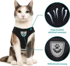 Merkloos Kattentuigje Met Looplijn | Zwart Kattenharnas | Easy Step In | Kattenriem | Kattenlijn | Kattentuig | Maat S -Katten En Honden Verkoop Winkel 1200x1131