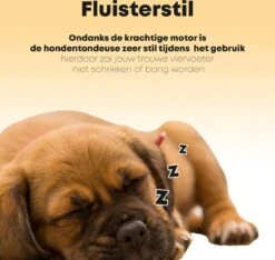 Hondentondeuse Professioneel - 2 In 1 - Honden & Katten - Hondentrimmer - Dikke & Dunne Vacht -Katten En Honden Verkoop Winkel 1200x1136 3
