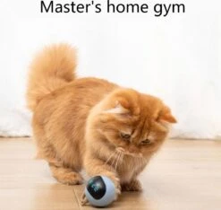 Otiume Interactieve Speelbal - Slimme Interactieve Jaag Speeltje Voor Katten - Kattenspeeltjes - Intelligente Jaagbal - AI -USB Oplaadbaar - LED - Blauw -Katten En Honden Verkoop Winkel 1200x1137 7