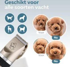 BYER Professionele Dieren Tondeuse Set - Voor Huisdieren Katten & Honden - Draadloos - Oplaadbare Pet Trimmer - Dog Tondeuze Clipper - 5 Standen & Vier Opzetkammen - Low Noise -Katten En Honden Verkoop Winkel 1200x1144 1