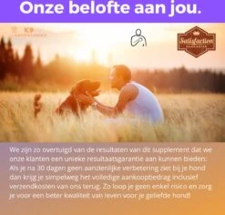 K9 Laboratories - Kalmte & Balans - Supplement - Voor Honden - Tegen Angst - Stress - Agressie - L-tryptofaan - Valeriaan - Hennepzaadolie - 60 Stuks - Voor Een Rustige Hond -Katten En Honden Verkoop Winkel 1200x1148 3