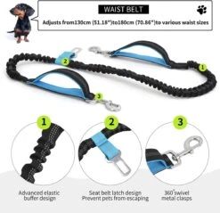 BOTC Looplijn Hond Met Heupriem Voor Hardlopen - Met Drinkbak Hond - Hondenriem - 1 Roll Poep Zakjes - Zwart -Katten En Honden Verkoop Winkel 1200x1159 1