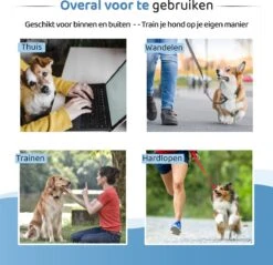 Diervriendelijke Ultrasone Anti- Blaf Apparaat 2023 + Batterijen - Extra Snel Van Blaffen Af - Anti Blafband – Honden Training Blaffen – Hondentrainer -Katten En Honden Verkoop Winkel 1200x1159