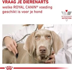 Royal Canin Anallergenic - Hondenvoer - 8 Kg -Katten En Honden Verkoop Winkel 1200x1161 3