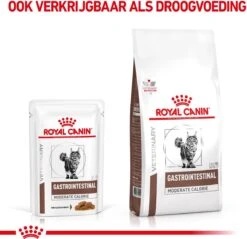 Royal Canin Gastro Intestinal Moderate Calorie Kat 12x85 Gr. -Katten En Honden Verkoop Winkel 1200x1162 4