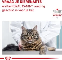 Royal Canin Gastro Intestinal Moderate Calorie Kat 12x85 Gr. -Katten En Honden Verkoop Winkel 1200x1162 5