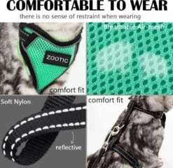 Kattentuigje Met Leiband Riem Kattenharnas Groen Maat M Kat & Kitten - Dieren Kattenriem - Cat Leash - Halsomvang 20 Tot 26cm - Borstomvang 30 Tot 34cm - Zootic® -Katten En Honden Verkoop Winkel 1200x1164 4