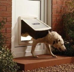 Staywell 777 Hondenluik - Large - Zilver/Tranparant -Katten En Honden Verkoop Winkel 1200x1168 4