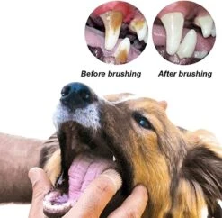 Doodadeals® 4 Stuks Siliconen Honden Tandenborstel - Tanden Borstel Hond - Silicone Dog Tootbrush - Multikleur -Katten En Honden Verkoop Winkel 1200x1175