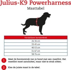 Julius K9 K9®Powertuig, S - Mini, Zwart -Katten En Honden Verkoop Winkel 1200x1189 1