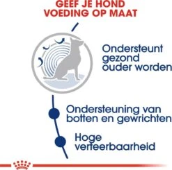 Royal Canin Maxi Ageing 8+ 15 KG -Katten En Honden Verkoop Winkel 1200x1192 1