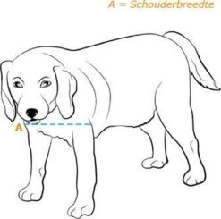 Petsafe 660 Hondenluik - Tot 100 Kg - Aluminium -Katten En Honden Verkoop Winkel 1200x1192