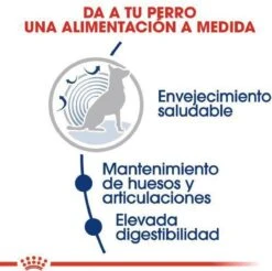 Royal Canin Maxi Ageing 8+ 15 KG -Katten En Honden Verkoop Winkel 1200x1197 6