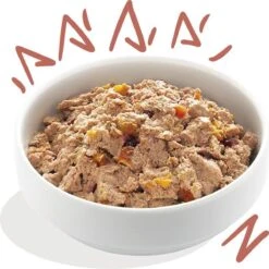 11x Edgard & Cooper Kuipje Vers Vlees Senior Hondenvoer Kip - Zalm 150 Gr -Katten En Honden Verkoop Winkel 1200x1198