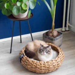 District 70 COCOON - Luxe Hondenmand Van Duurzaam Hoogwaardig Riet Met Zacht Kussen - Maten S/M/L - Large -Katten En Honden Verkoop Winkel 1200x1200 101