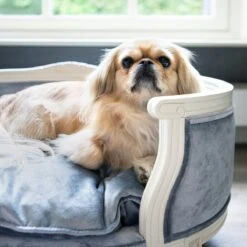 Lord Lou - George Roze Velvet S - Luxe Hondenmand - Luxe Kattenmand - 49x40x31 -Katten En Honden Verkoop Winkel 1200x1200 103