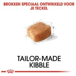 Royal Canin Dachshund/Teckel Adult 7.5 KG -Katten En Honden Verkoop Winkel 1200x1200 106