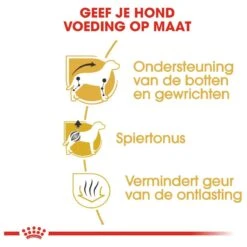 Royal Canin Dachshund/Teckel Adult 7.5 KG -Katten En Honden Verkoop Winkel 1200x1200 107