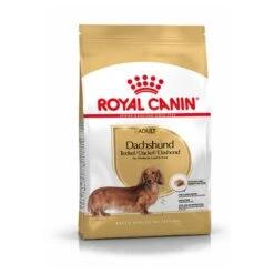 Royal Canin Dachshund/Teckel Adult 7.5 KG -Katten En Honden Verkoop Winkel 1200x1200 110
